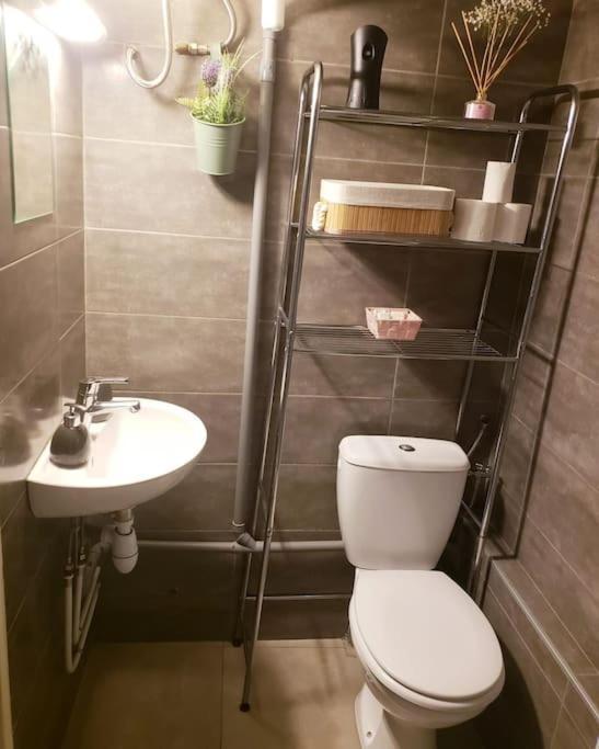 Appartement Cosy Plein Centre ニース エクステリア 写真